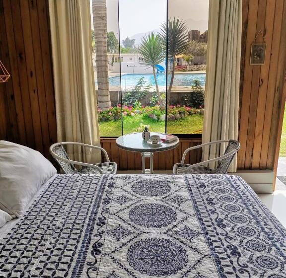 Номер Стандарт Вид на Бассейн, Mi Pequeño Club