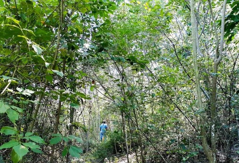 בונגלו משפחתי, El Cielo Biohospedaje