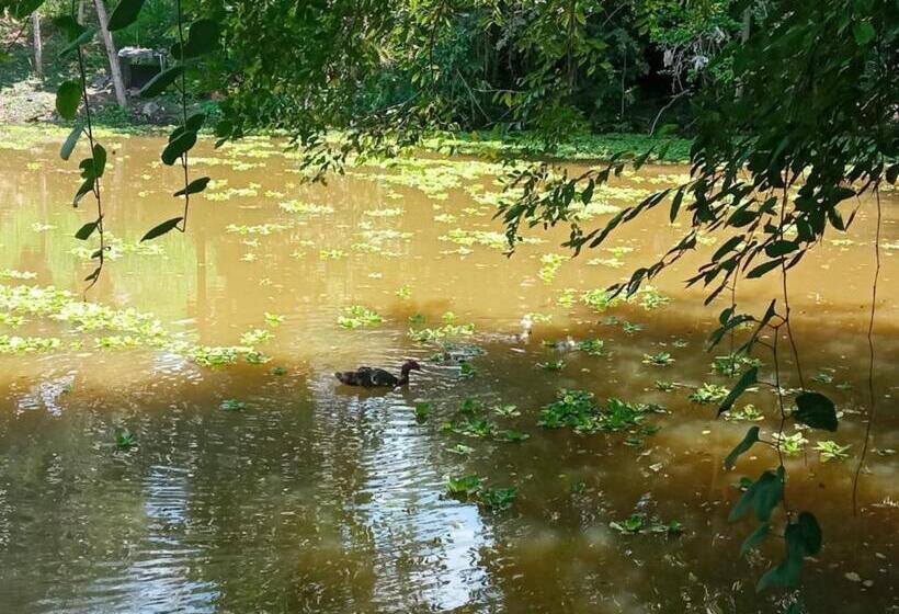 בונגלו משפחתי, El Cielo Biohospedaje
