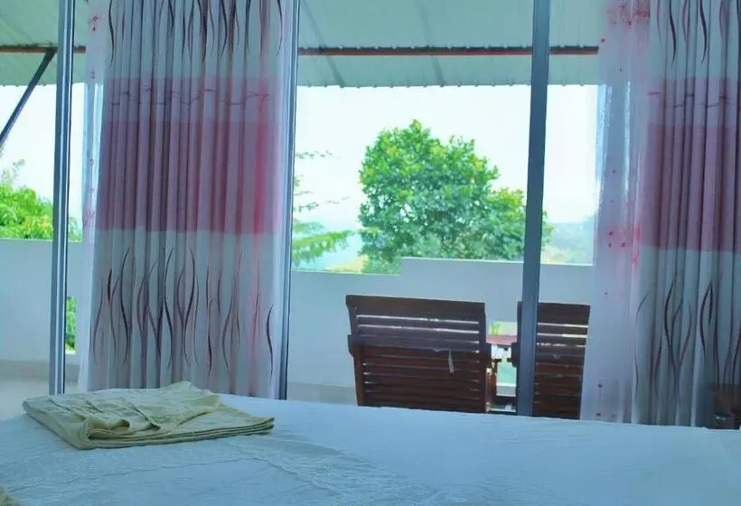 デラックスルーム, The Dream Inn