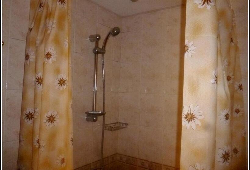 테라스 싱글룸, Palace