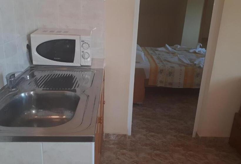 침실 1개 테라스 아파트, Palace