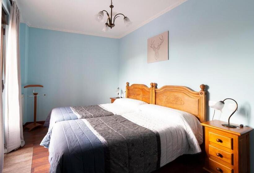 غرفة قياسية, Rural Rio Viejo