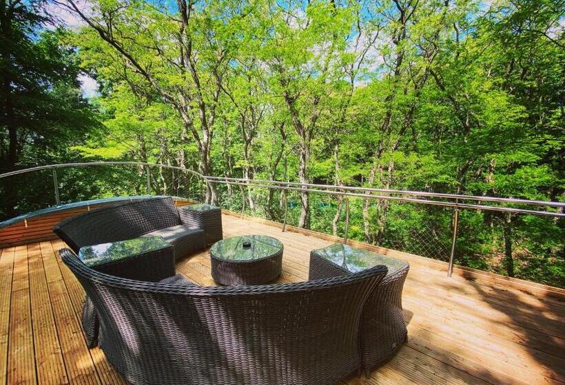 סוויטת ג'וניור דלוקס, Tree Inn   Das Baumhaus