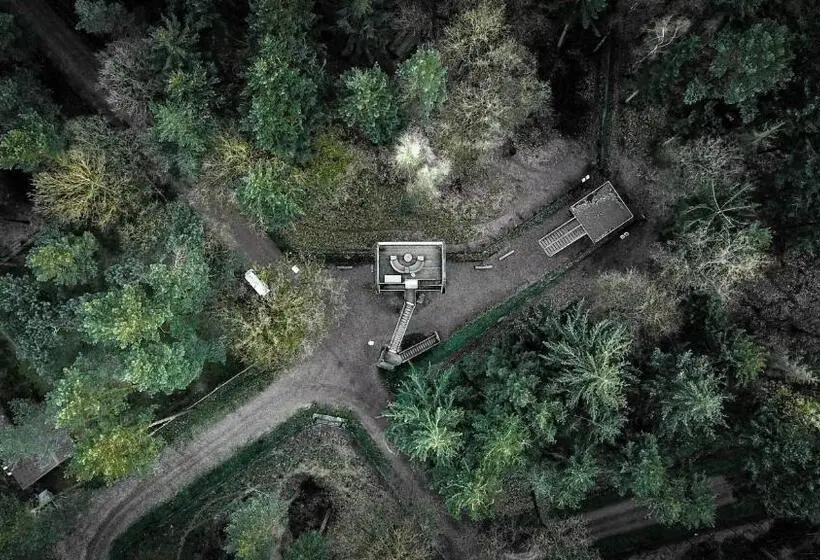 デラックスジュニアスイート, Tree Inn   Das Baumhaus