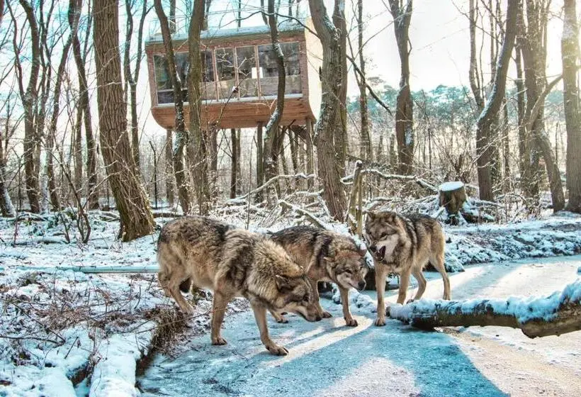 デラックスジュニアスイート, Tree Inn   Das Baumhaus
