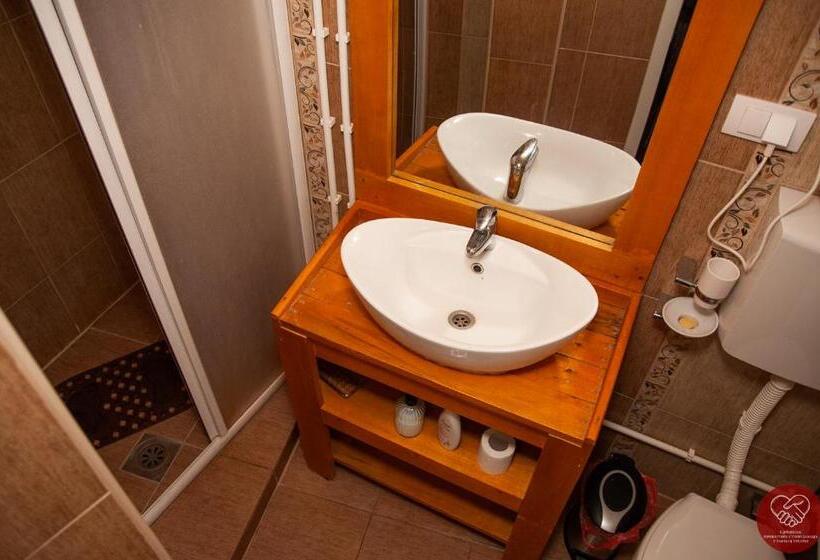 اتاق استاندارد با سرویس بهداشتی مشترک, Guesthouse Edelnice