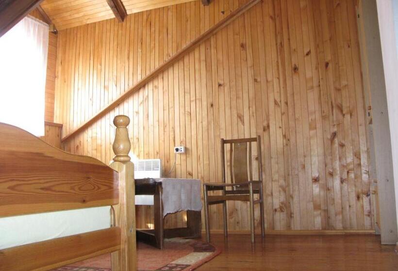 اتاق استاندارد چهارنفره با سرویس بهداشتی مشترک, Salako Svečių Namai