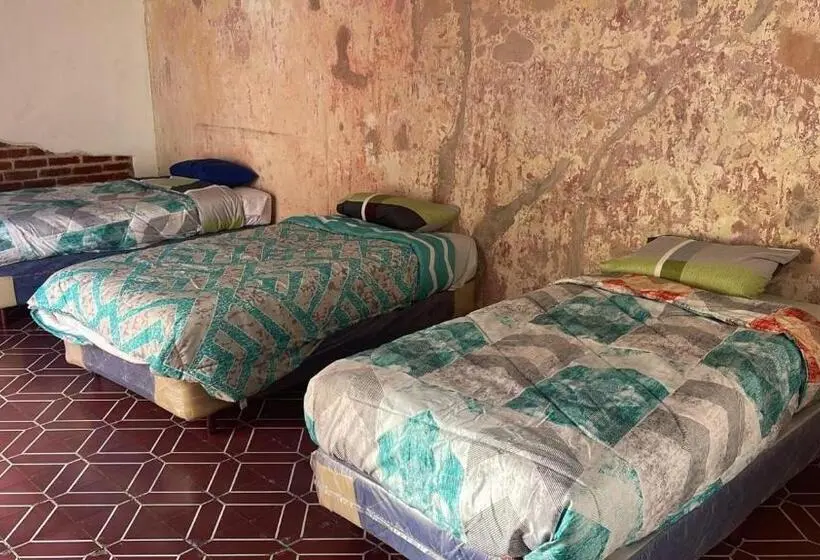اتاق استاندارد چهارنفره با سرویس بهداشتی مشترک, El Amigo Antigua #2