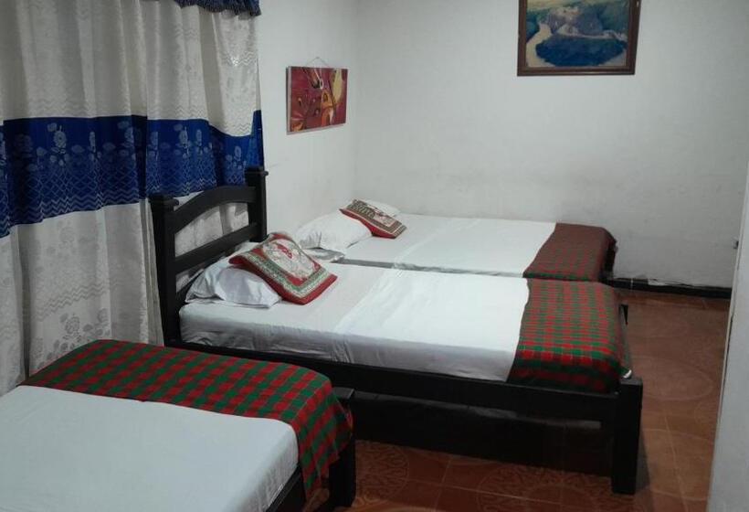 标准三人间, Neiva Real