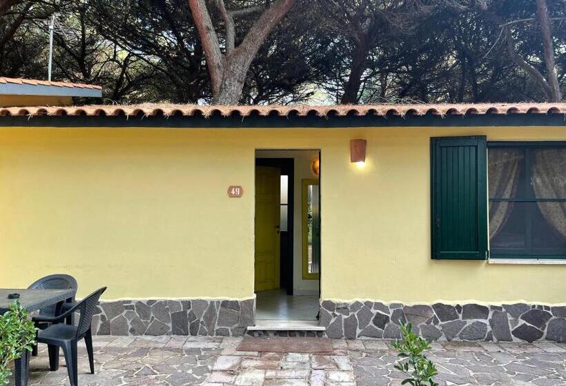 בונגלו סטנדרט עם נוף לגינה, Ala Birdi Residence