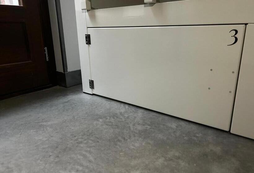 تختخواب در اتاق مشترک, Black Swan Hostel Granada