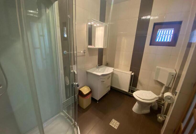 اتاق استاندارد, Pensiunea Casa Frasin