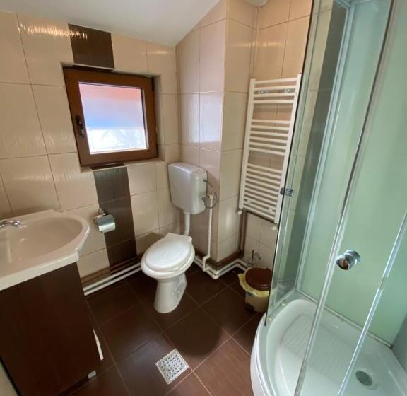 اتاق خانوادگی, Pensiunea Casa Frasin