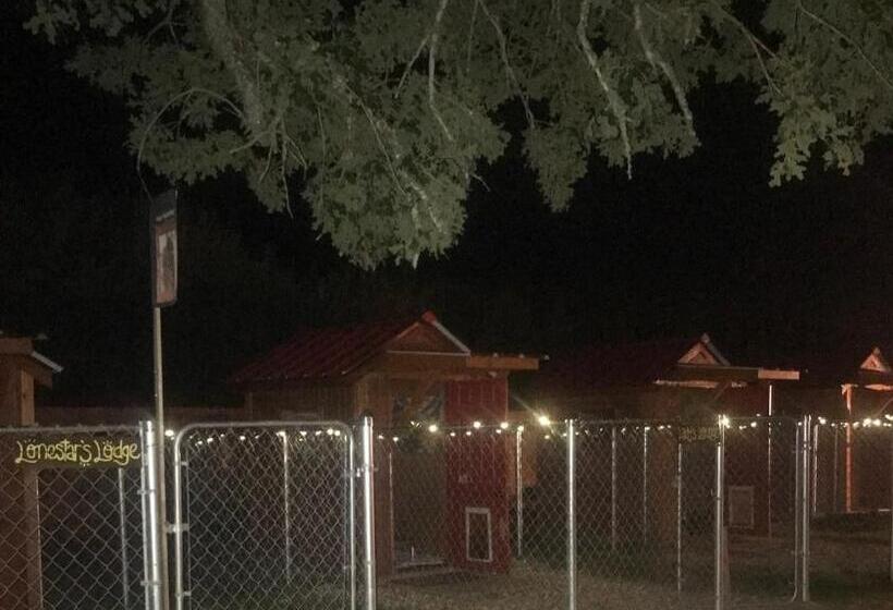 اتاق لوکس با تخت بزرگ, The Cabin At Camp K9 Provides One On One Doggy Daycare