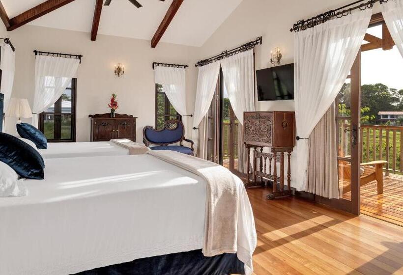 جناح جونيور ديلوكس, El Lugar