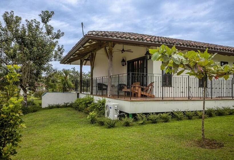 بنجلو ديلوكس, El Lugar