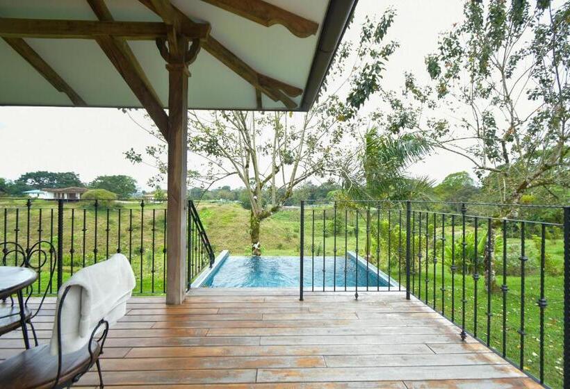 بنجلو ديلوكس, El Lugar