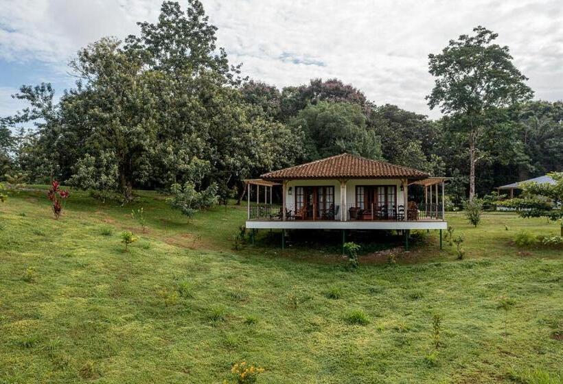 بنجلو ديلوكس, El Lugar