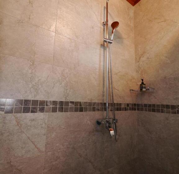 سوییت خانوادگی, 167 Original Farm B&b