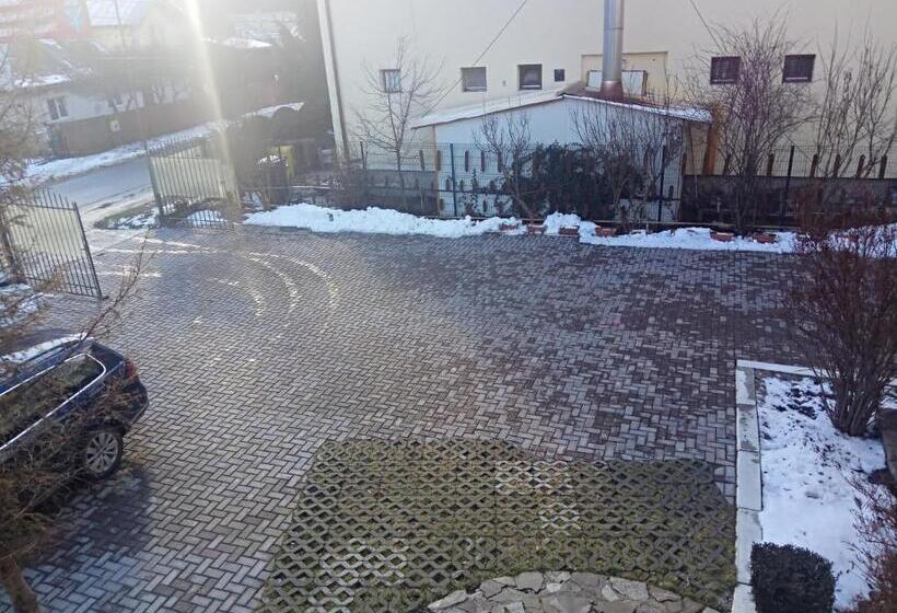 マウンテンビュースタンダードルーム, Casa Alexandru