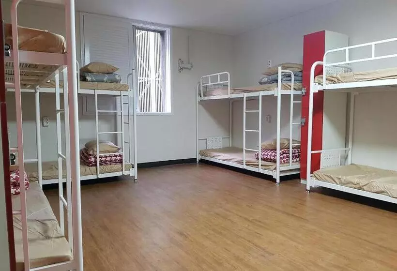 تختخواب در اتاق مشترک, Kimchee Busan Downtown Guesthouse