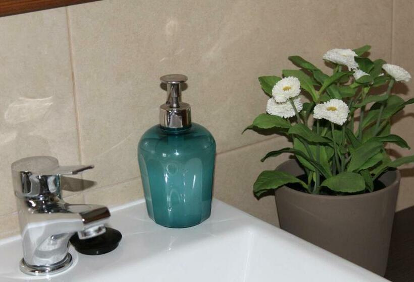 غرفة قياسية, Casas De Mirobriga