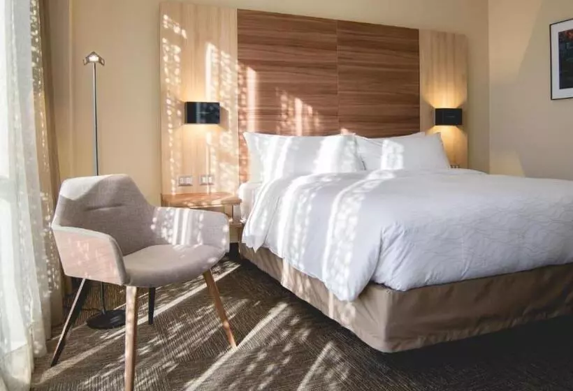 Superior Værelse King Size Seng, Mercure Concepción