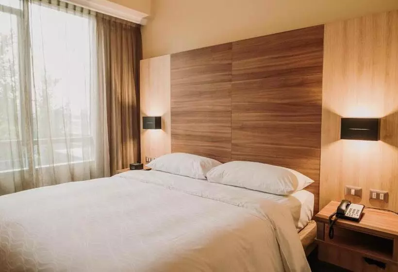 Standard Værelse King Size Seng, Mercure Concepción