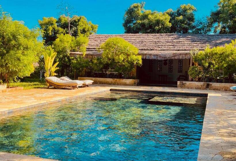 اتاق لوکس, Vovo Telo Lodge