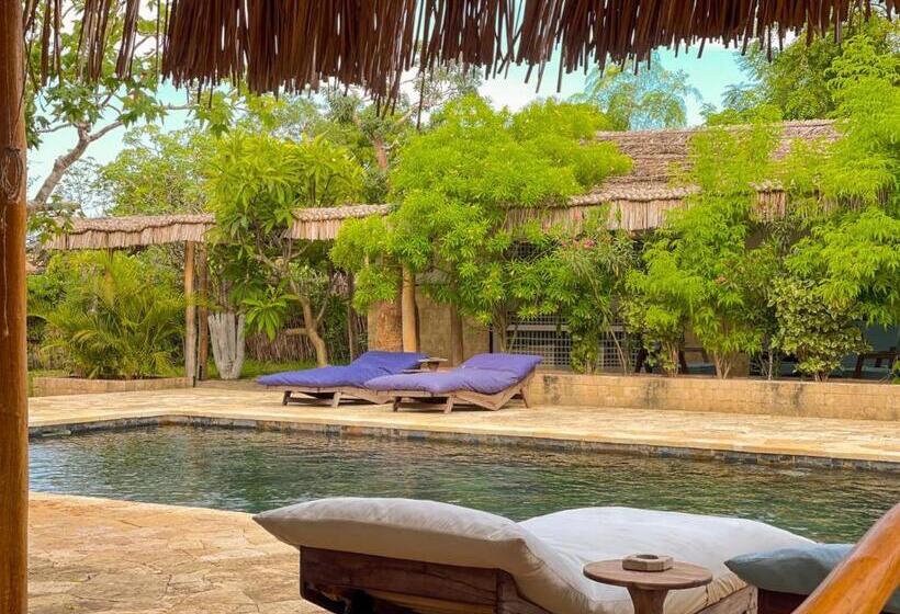 اتاق لوکس, Vovo Telo Lodge