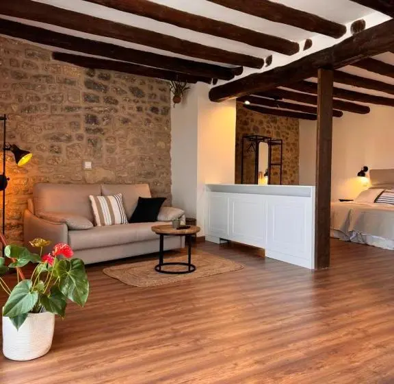 Standard-studio, Apartamentos Villa De Goya