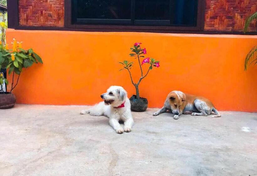 غرفة إقتصادية, Don Leo S Bnb