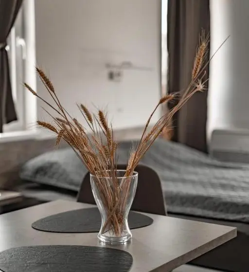 اتاق لوکس, July S Guest House