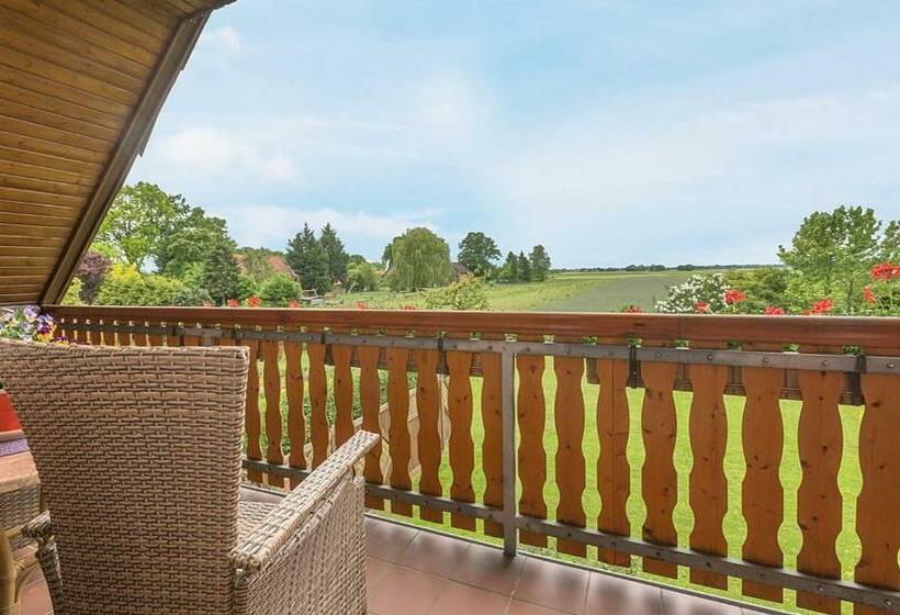 Номер Стандарт с Балконом, Sonnenhof Damnatz  Hotel Garni