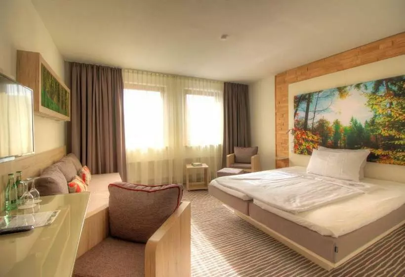 スタンダードルーム, Landhotel Am Rothenberg
