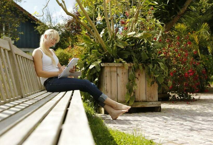 غرفة كومفورت, Landhotel Am Rothenberg