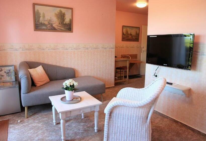 Номер Стандарт с Балконом, Sonnenhof Damnatz  Hotel Garni