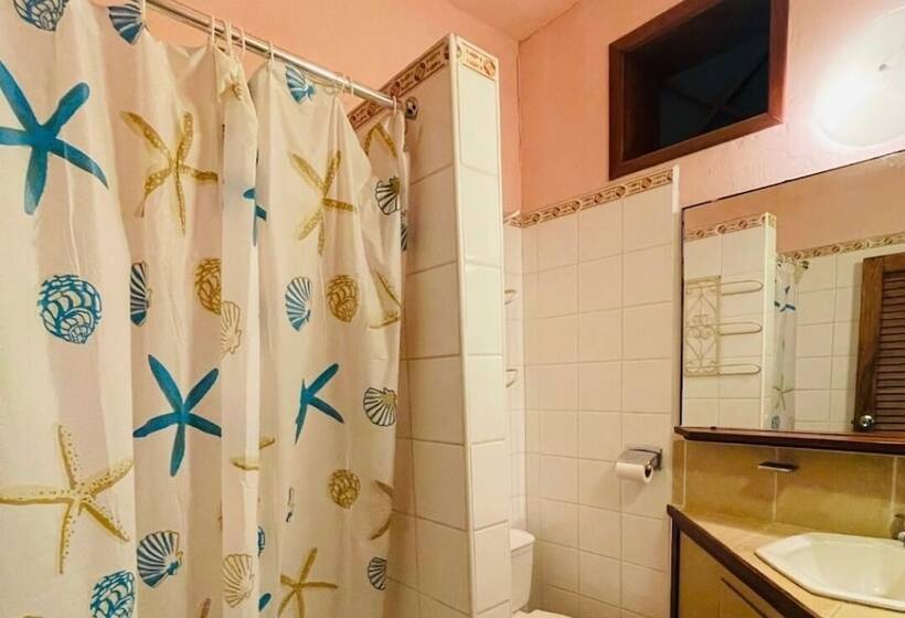 اتاق استاندارد, Bless