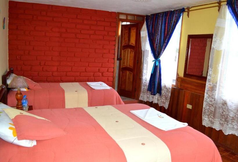 スタンダードトリプルルーム, Donde Ivan