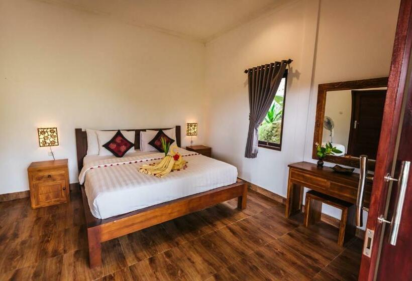 חדר סופריור, Arta Nadi Villa