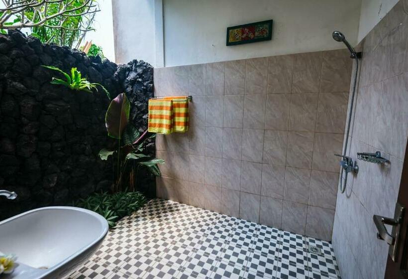 חדר דלוקס, Arta Nadi Villa