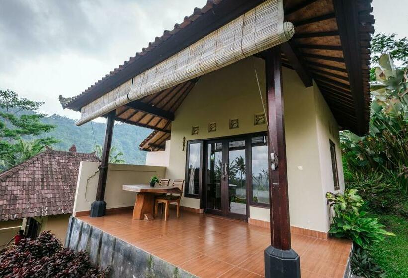 חדר דלוקס, Arta Nadi Villa