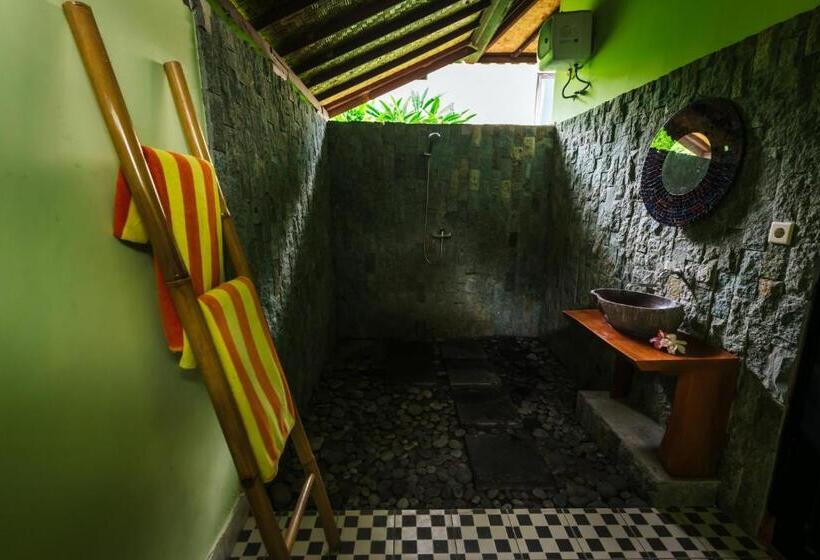 חדר סופריור, Arta Nadi Villa