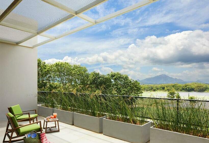 스위트, Jetwing Lake