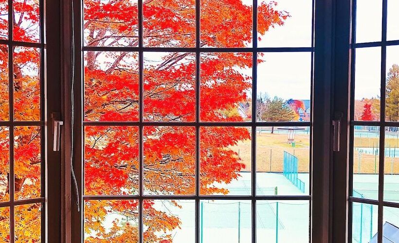 חדר סטנדרט, Appi Life Is Beautiful