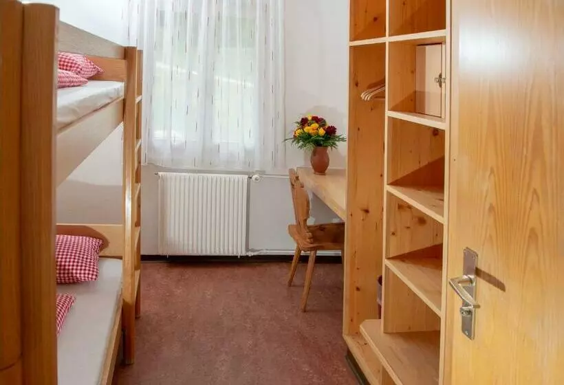 Habitació Estàndard Vista Muntanya, Erlebacherhus