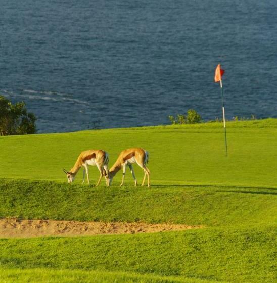 חדר דלוקס, Escape To Beautiful Mossel Bay