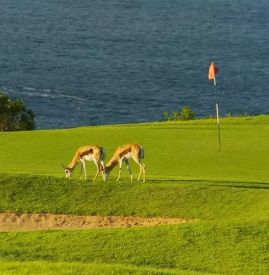 デラックスルーム, Escape To Beautiful Mossel Bay