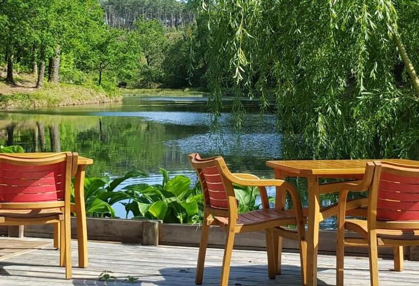 غرفة قياسية مطلّة علي البحيرة, Palika Lodge